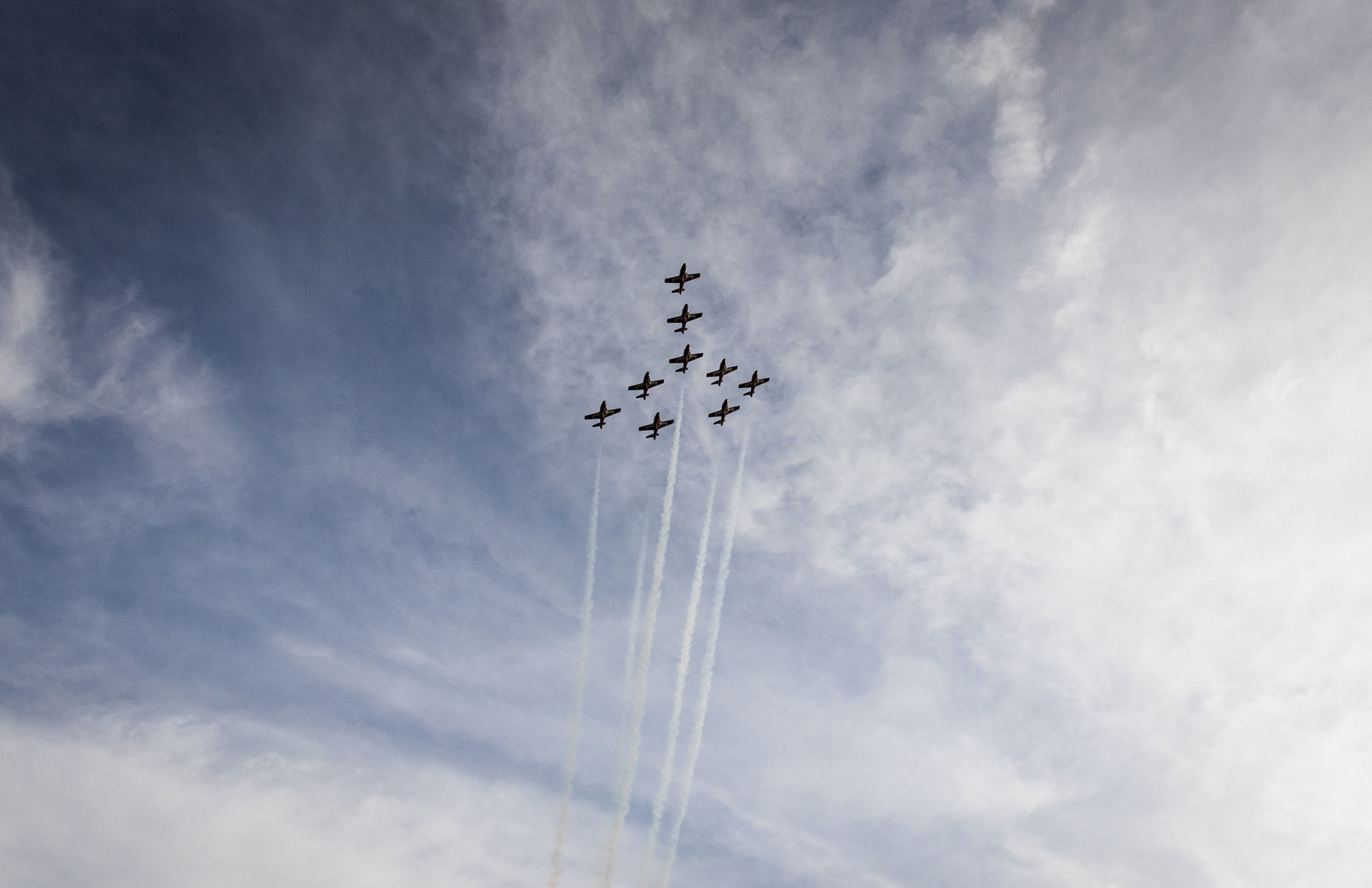 Snowbirds